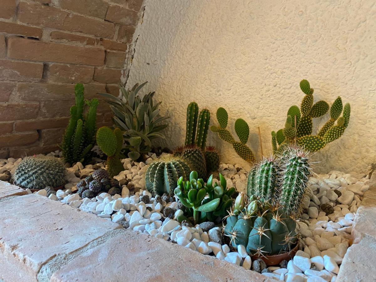 Cactus Suite Pisa Eksteriør billede